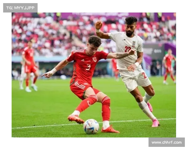 世界杯赛事d组世界杯2022a组